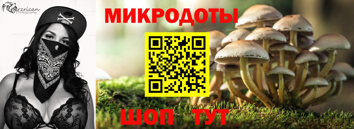 Псилоцибиновые грибы прущие грибы Красноармейск