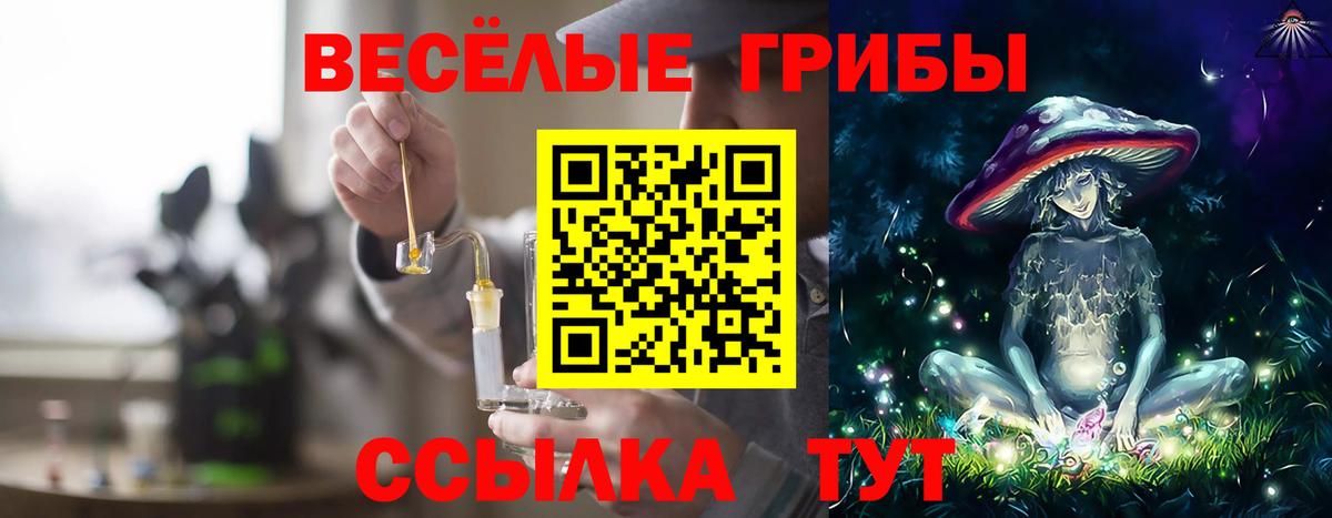 Красноармейск  Галлюциногенные грибы ЛСД  Галлюциногенные грибы Cubensis  Вход с VPN 